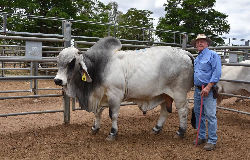 John Atkinson, Laguna Brahmans, Proserpine, with Laguna Zillion 2nd (P), which topped the sale at $23,500.