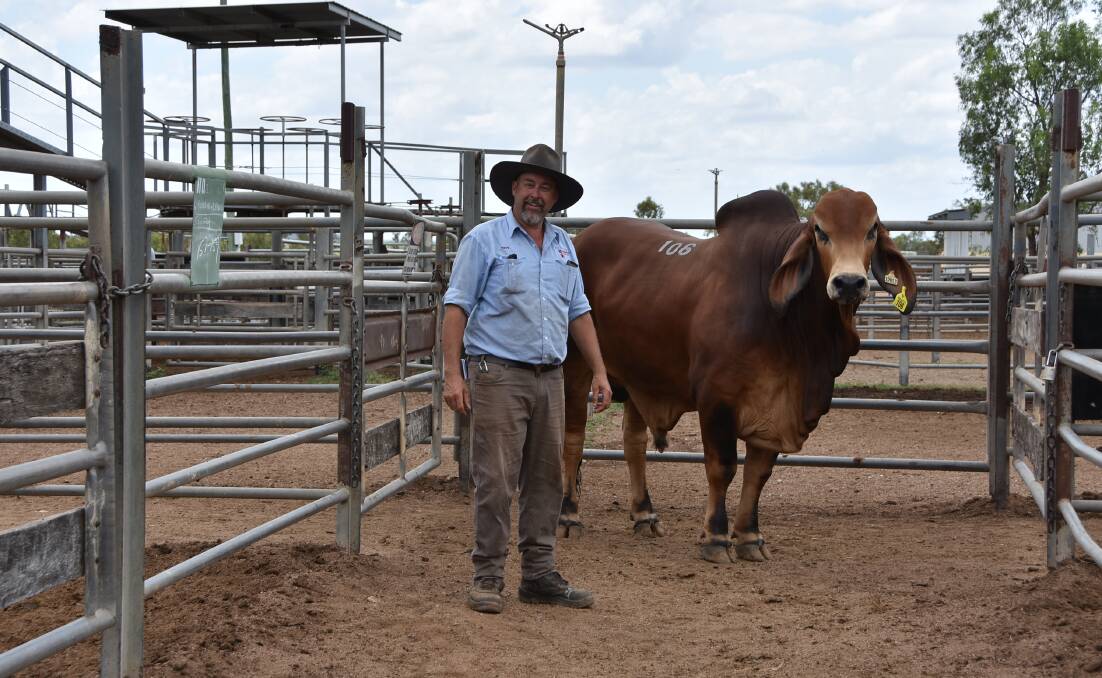 Kangarin Brahmans' Troy Hiscox, with top price red bull Kangarin A A488 (H), which sold for $15,000.