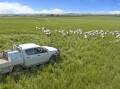 Which farm ute is truly the best? Picture supplied. 