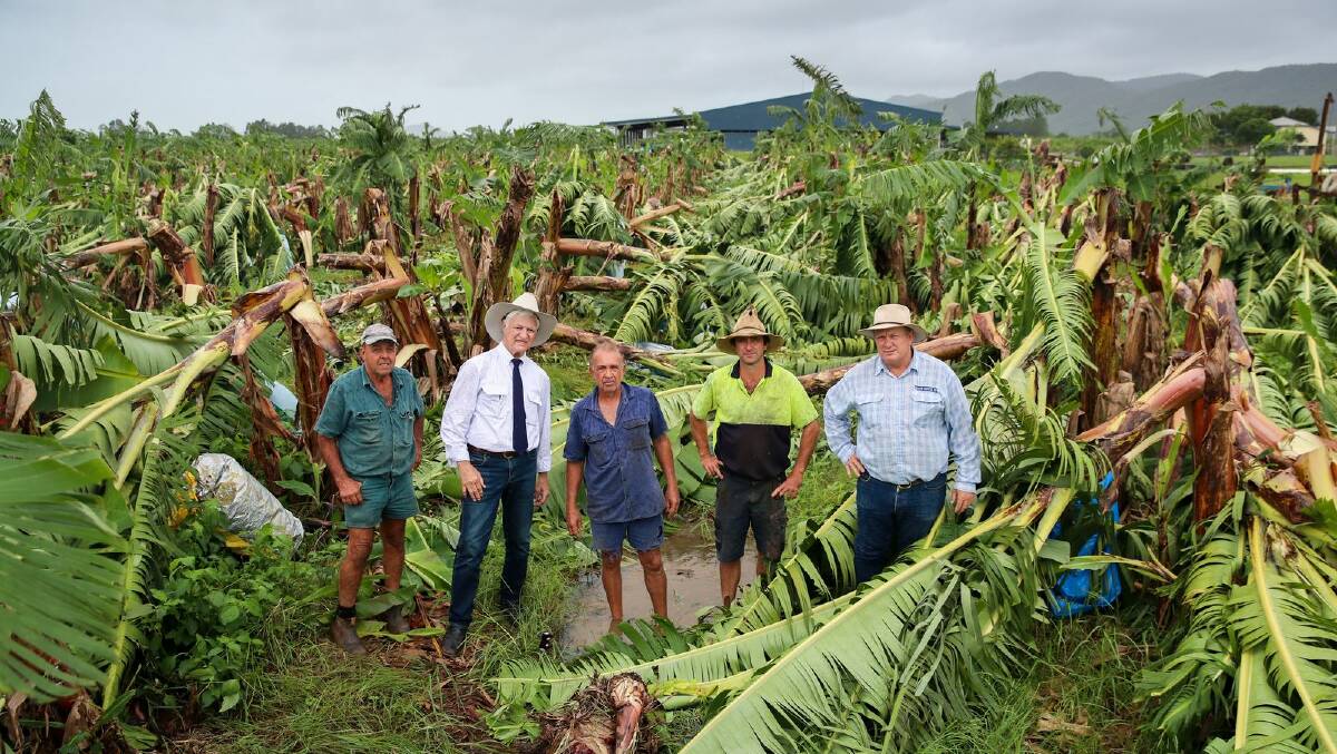 Boogan banana farmer Frank Sciacca (centre) surveys the damage caused by Tropical Cyclone Niran in March 2021. Pictured L-R with farmer Angelo Russo, Federal Member for Kennedy Bob Katter, Cassowary Coast Banana Growers Association president Dean Sinton and Member for Hill Shane Knuth. Picture Michael Chambers