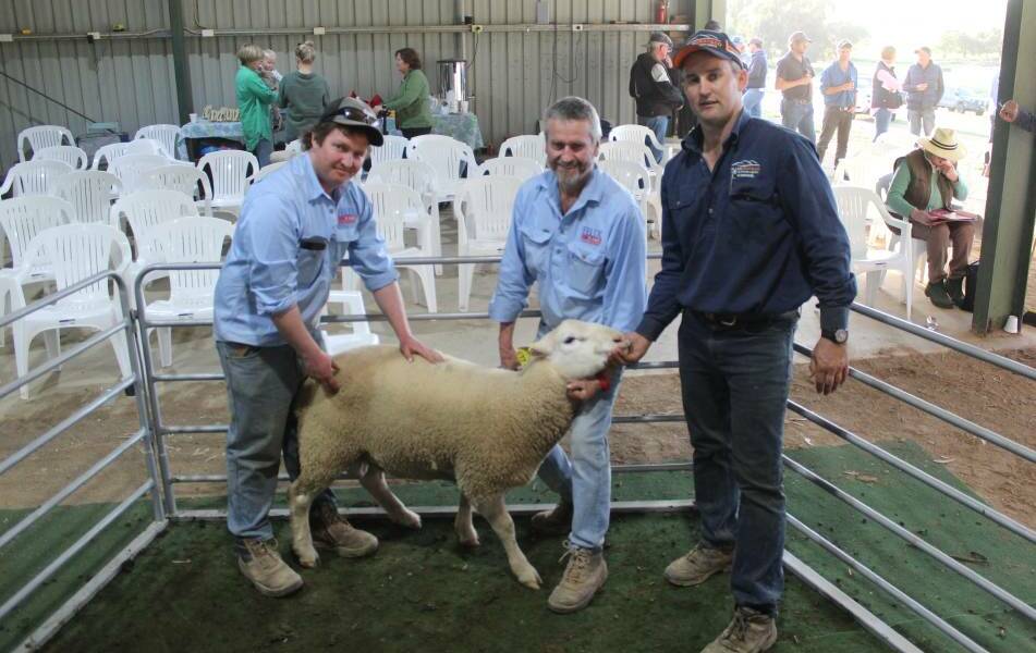 Felix Rams' Isaac and Rodney Watt, and Allan Gray and Co's Rory Brien, with the $31,500 top-price ram. Picture: Denis Howard