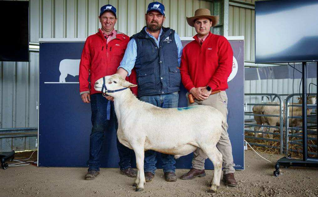 Dan Lustenberger, Bungarley Australian Whites, with Elders agents Henry Booth and Ryan Bajada with the top-priced Australian White ram sold for $20,000 at Bungarley, Tarcutta, last Wednesday. Picture: Supplied