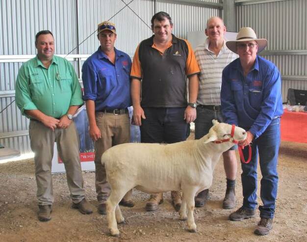The $9000 sale-topping ram with Nutrien stud stock agent Brad Wilson, Dubbo, vendors Ethan and Robert (right) Endacott, Red Hill, Wongarbon, and buyers Adam and Robert Barbar, Black Rose, Parkes.