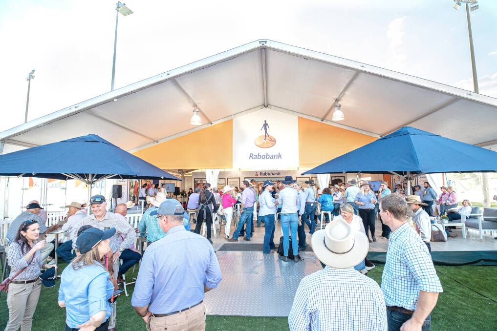 Rabobank's team of world-leading RaboResearch analysts will be at Beef 24. Picture supplied