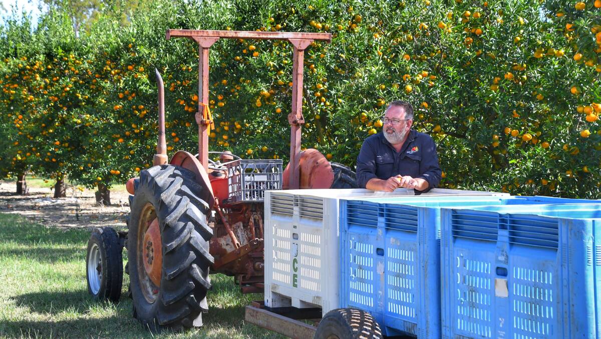 Tim Teague hopes consumers will support the local citrus. Picture: Brad Marsellos