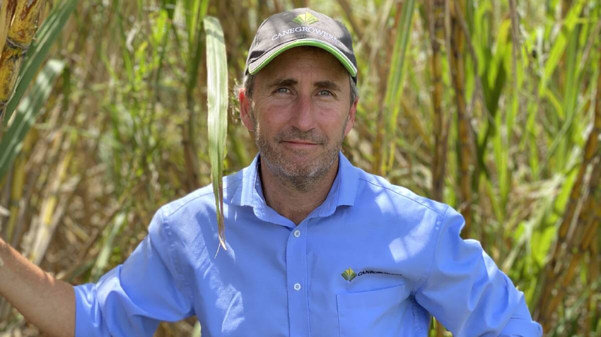 CANEGROWERS CEO Dan Galligan. Picture supplied 