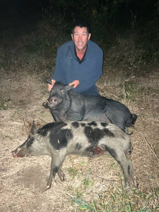 Bundaberg Feral Pest Control owner Darren Pratt with two boars he shot on a cattle property near Bundaberg. He said using a thermal imaging drone made the task much more efficient. Picture: Supplied