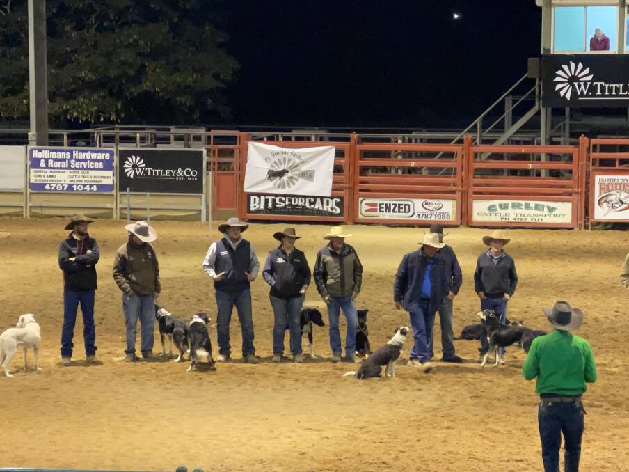 The open competitors lining up ahead of the final event in the Queensland Working Cattle Dog Trial Championships. Picture: Steph Allen
