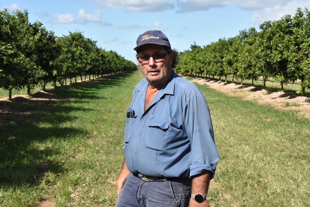 Joe Muscat has grown a range of crops including sugar cane, soybeans, mung beans, peanuts and fibre crops such as industrial hemp, kenaf and sunn hemp. Picture: Steph Allen