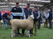 Judge Jeff Sutton, Temora, NSW, with Bauer & Retallack Border Leicester studs co-principals Jamie and Tracey Buerckner, Ariah Park, NSW, and their supreme champion ewe. Picture by Barry Murphy