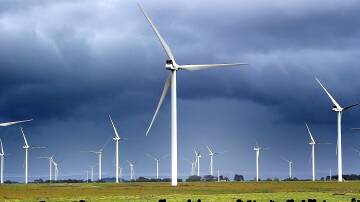 Wind turbines have been blamed for killing vulnerable native birds. File picture.