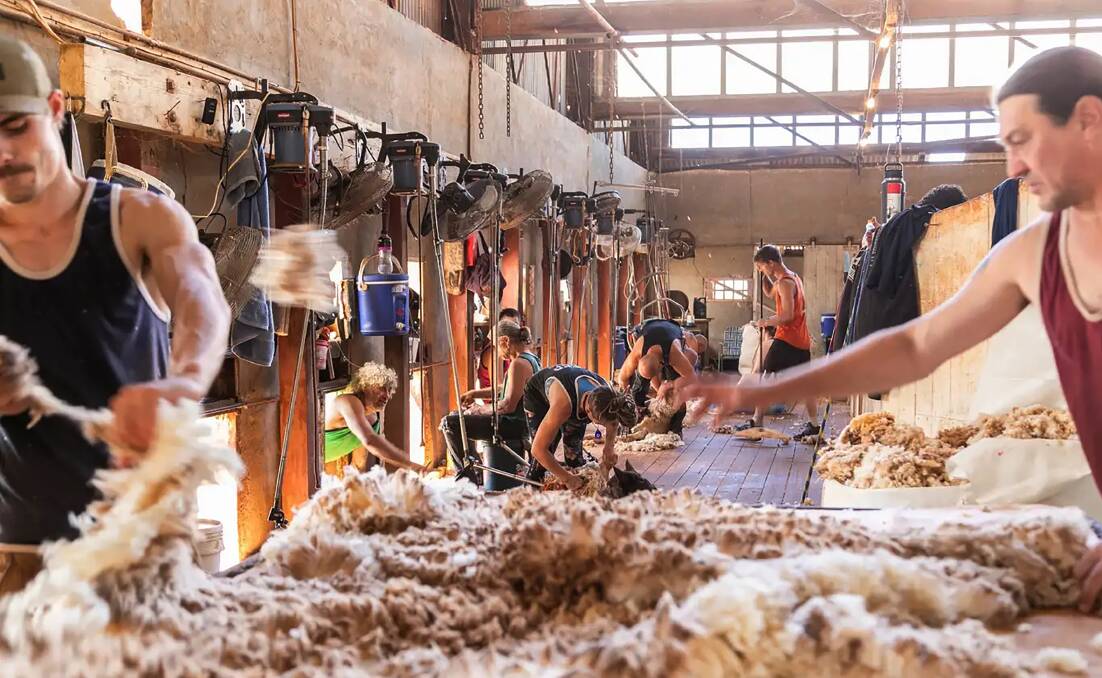 Koomooloo Station has an eight-stand shearing shed. Pictures: Ray White Rural South Australia.