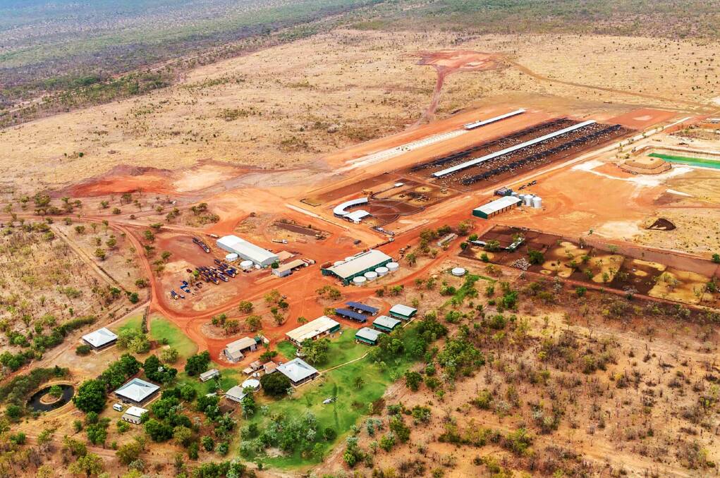 How to of farming carbon cash cows for many millions in the NT. | North ...