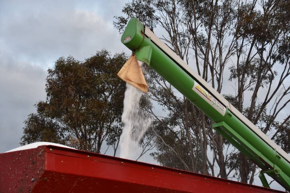 Urea prices globally are generally down this year. Photo by Gregor Heard.