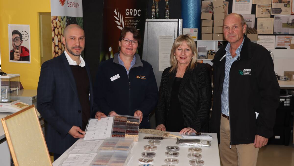 Agriculture Victoria chief executive Matt Lowe, Sally Norton Australian Grains Genebank leader, Gayle Tierney Victorian minister for agriculture and John Woods, GRDC chair at the recent funding announcement in Horsham. Photo courtesy of Agriculture Victoria. 