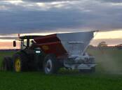 Having a long term nitrogen strategy can mitigate some of the seasonal risk of fertiliser management. Photo by Gregor Heard.