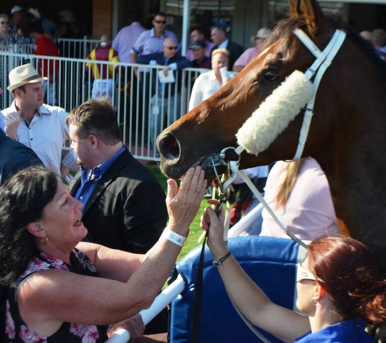 Honey Toast's part-owner Sharon Thomsen, Gladstone, was overcome with elated emotion after the five-year-old gelding's big win in the RSL Townsville Cup.