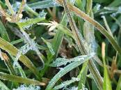 Frost descended on the soccer grounds at Mount Isa last week. Picture supplied.
