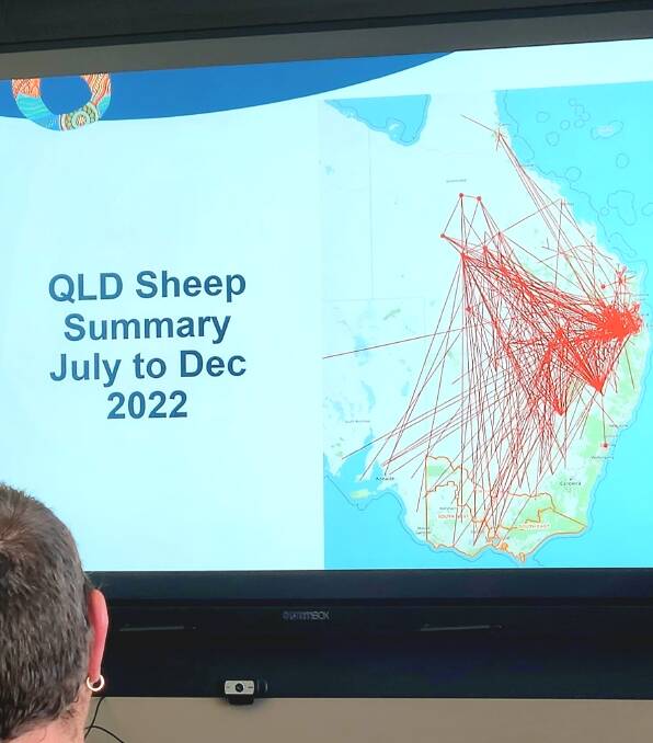 Where sheep in Queensland moved to in a six month period.