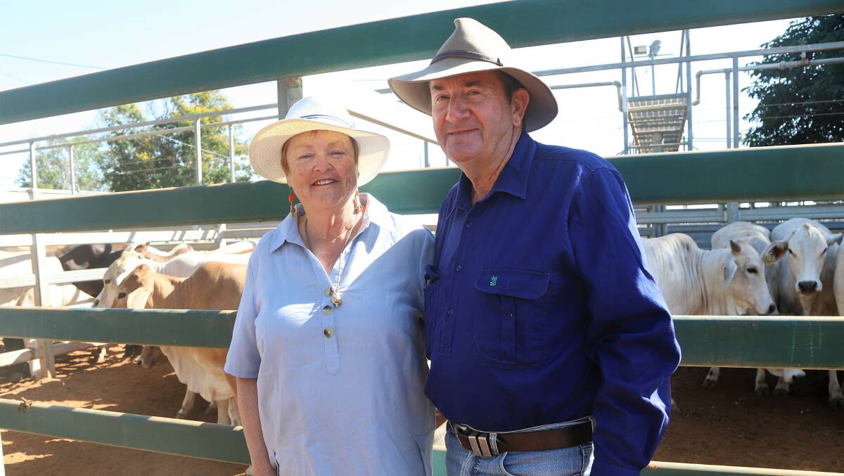 Susan and Dennis Olive, North Pentwyn, Blackall taking in the prices on offer at Blackall's opening sale for 2023. Pictures: Sally Gall