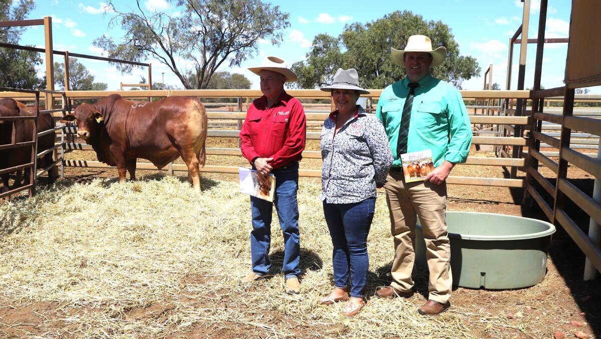 Valera Vale stud principals Michael and Tracy Flynn with Nutrien Ag Solutions studstock representative Trent McKinlay and the top priced bull, sold to Burnett Group Co, Monteagle, Clermont. Picture: Sally Gall