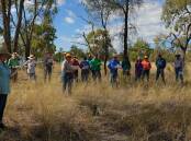 The paddock atmosphere encouraged plenty of questions and answers at the Stratford field day south of Jericho on Saturday. Picture: Robyn Adams