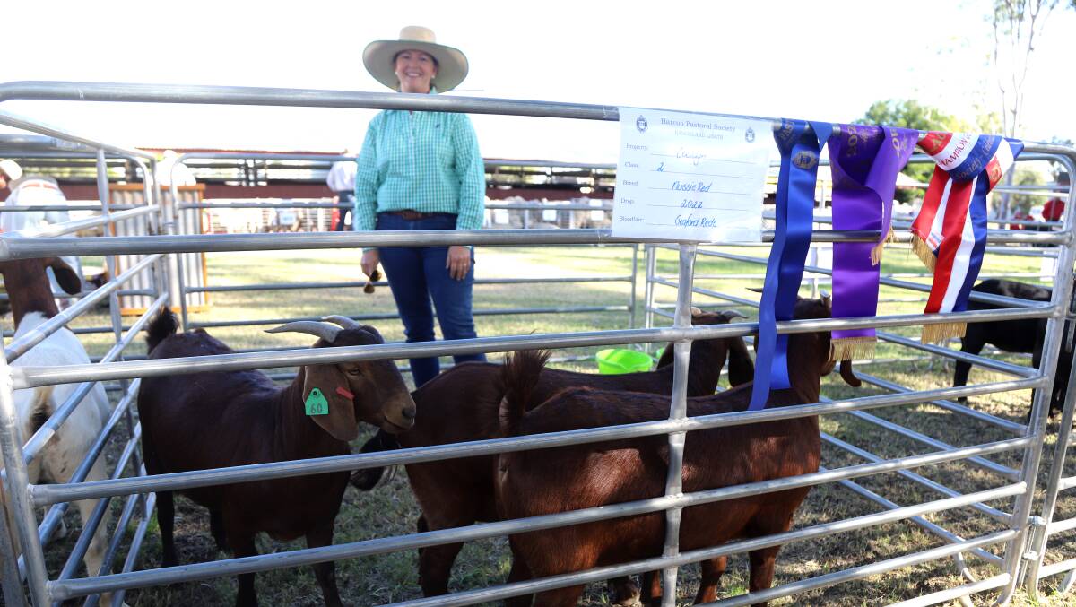 Anita Dennis, Coolagh, Blackall and her grand champion pen of goats at the Blackall Show, Aussie Red does. Picture: Sally Gall