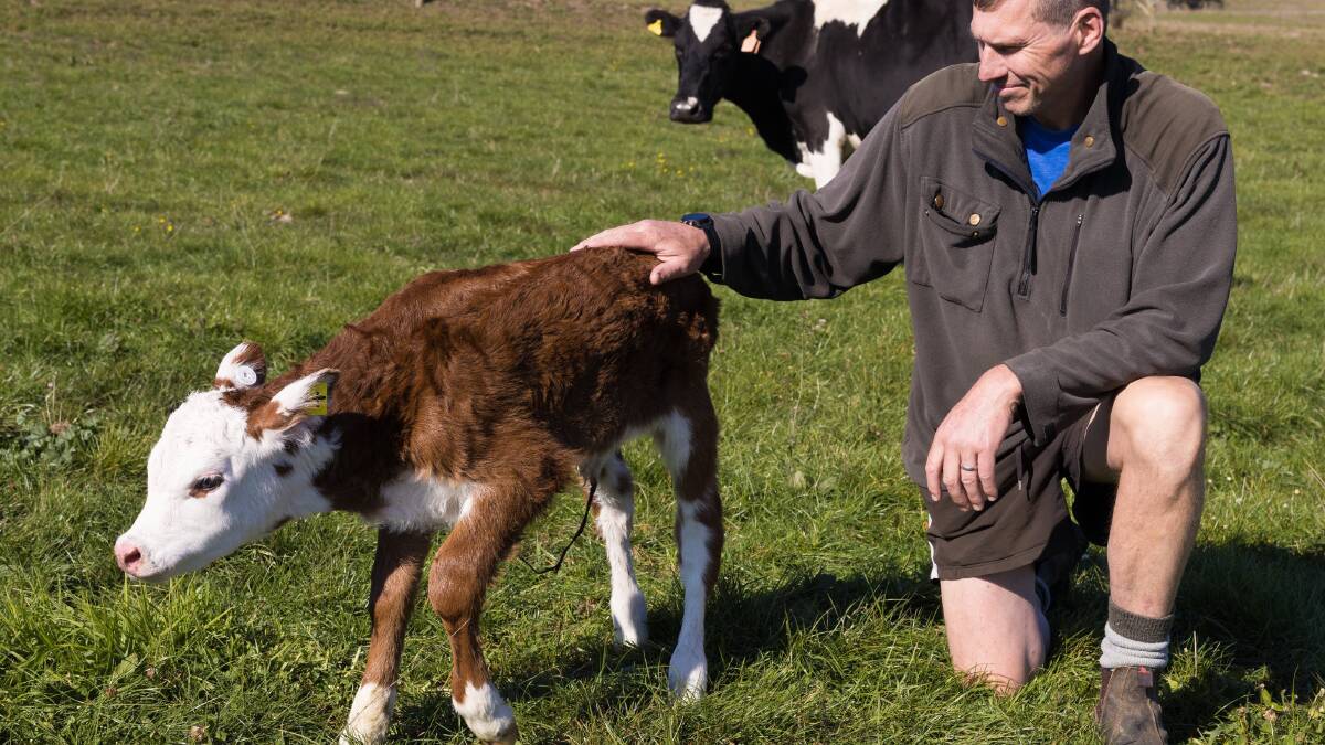 New Zealand dairy and beef farmer Chris Falconer. Picture supplied