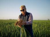 Onion grower Alex Jack, Jack Brothers Farm, Imperial Valley, US. Picture supplied