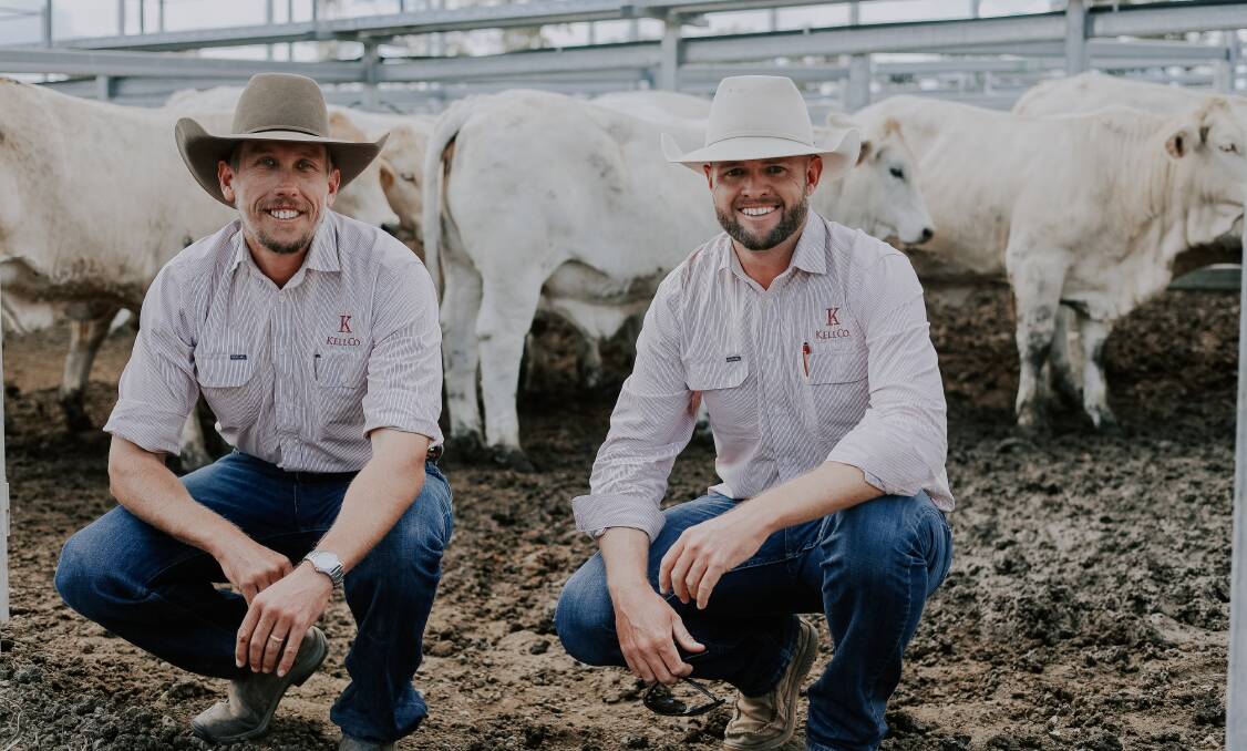 KellCo Rural Agencies directors Andrew Cavanagh and Brendan Kelly with the champion pen of heifers that went on to sell for 362.2c/kg at average 380kg. Picture by Sweet & Stower Photography.