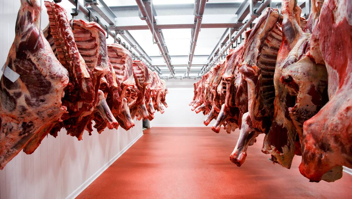 One of the main hurdles for DEXA in the beef industry is transporting the bigger carcases to medical-grade machines for calibration. 
