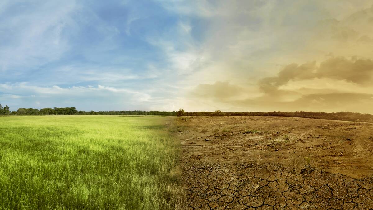 Without support, the drought will be the last straw for some dairy farmers, says eastAusmilk. Picture by Shutterstock