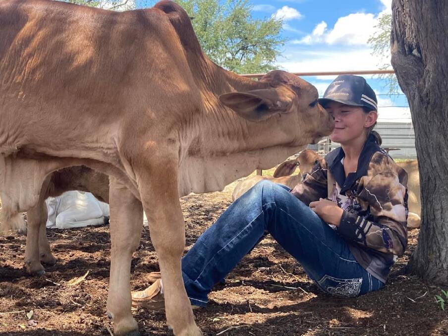 Emma Lamont with one of her family's red Brahman calves. Pictures supplied 