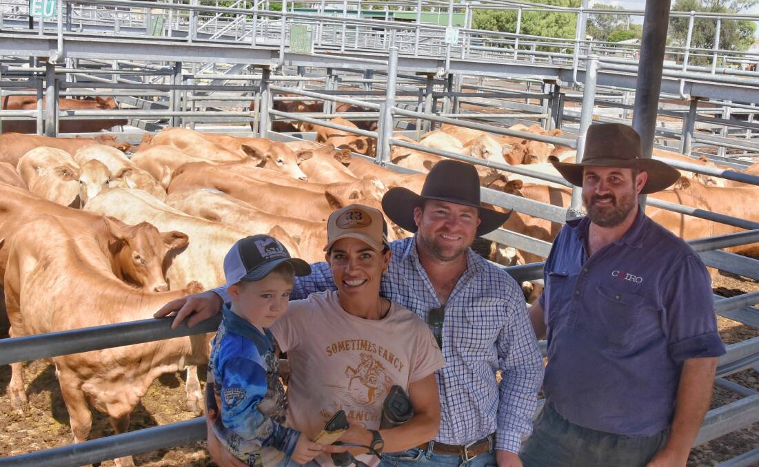 Buyers Guy and Cammilla Ford, with son Beau, 4, of Forest Home, Capella, who secured a run of 14 EU Droughtmaster cross heifers for 320c/kg from vendor Ryan Hodgkinson, Cairo Cattle Co, Clermont. 