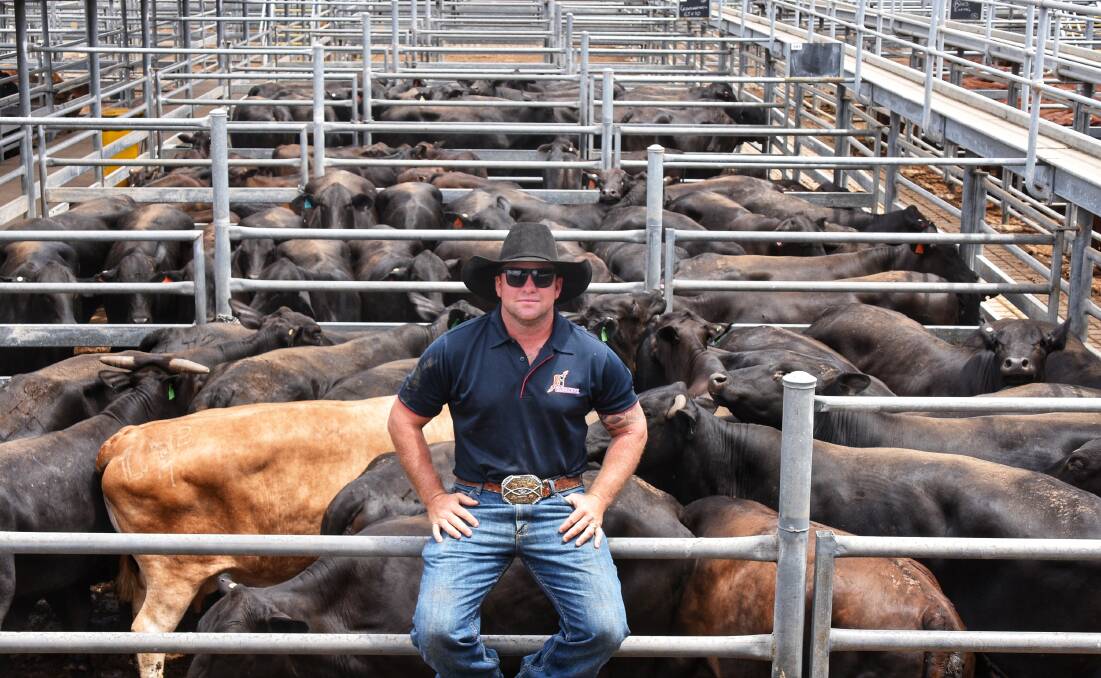 Buyer Guy Ford of Forest Home Grazing, Capella, purchased this premium line
of Brangus cows and calves, which topped the market at $1190/unit. Picture: Ben Harden 