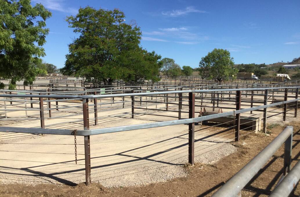 FACE LIFT: The end result of maintenance conducted at Dalrymple Saleyards in Charters Towers. Photo supplied.
