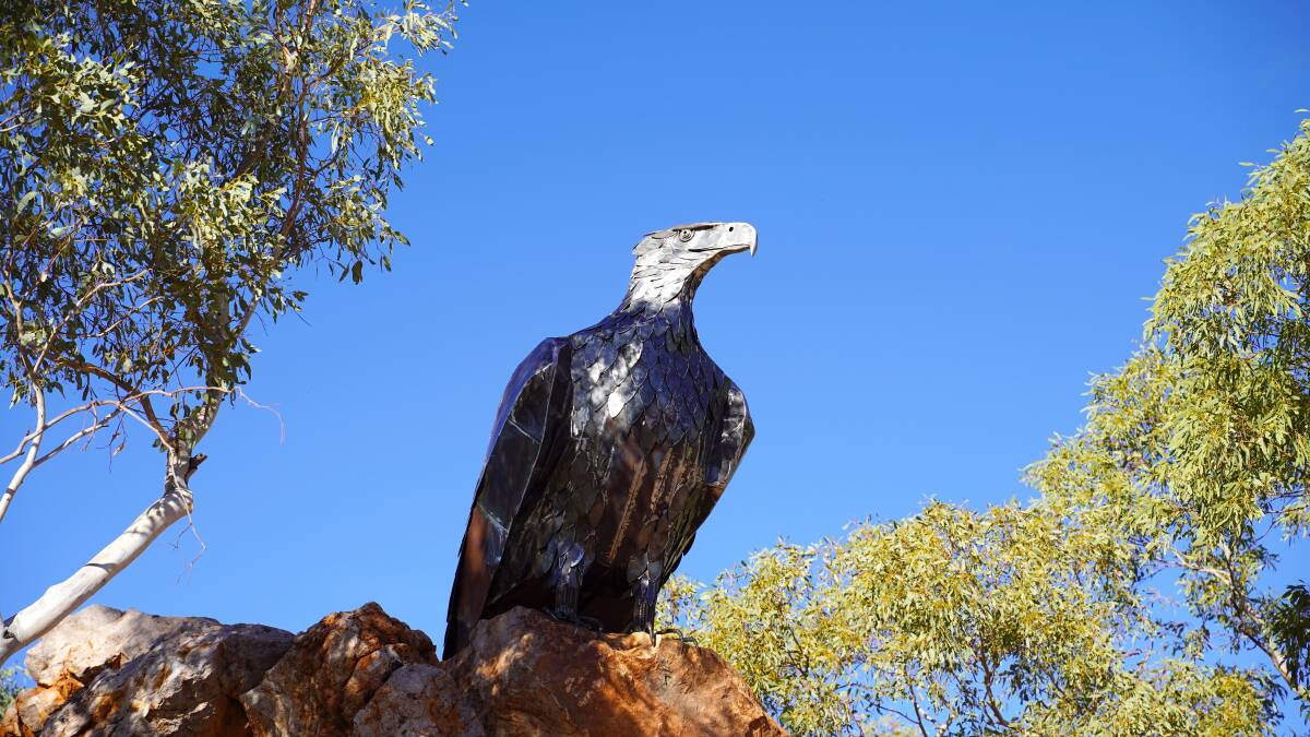 The eagle overlooks the new recreation area at Chinaman Creek Dam near Cloncurry. Photo by Cloncurry Shire Council.