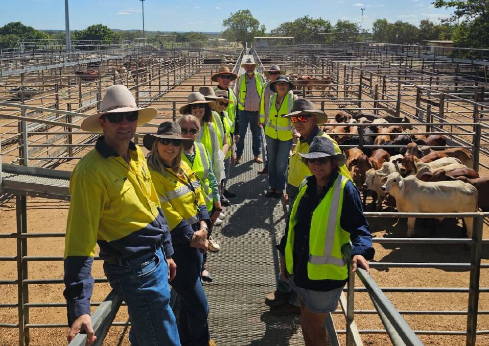 Charters Towers councillors tour the Dalrymple Saleyards. Picture supplied.
