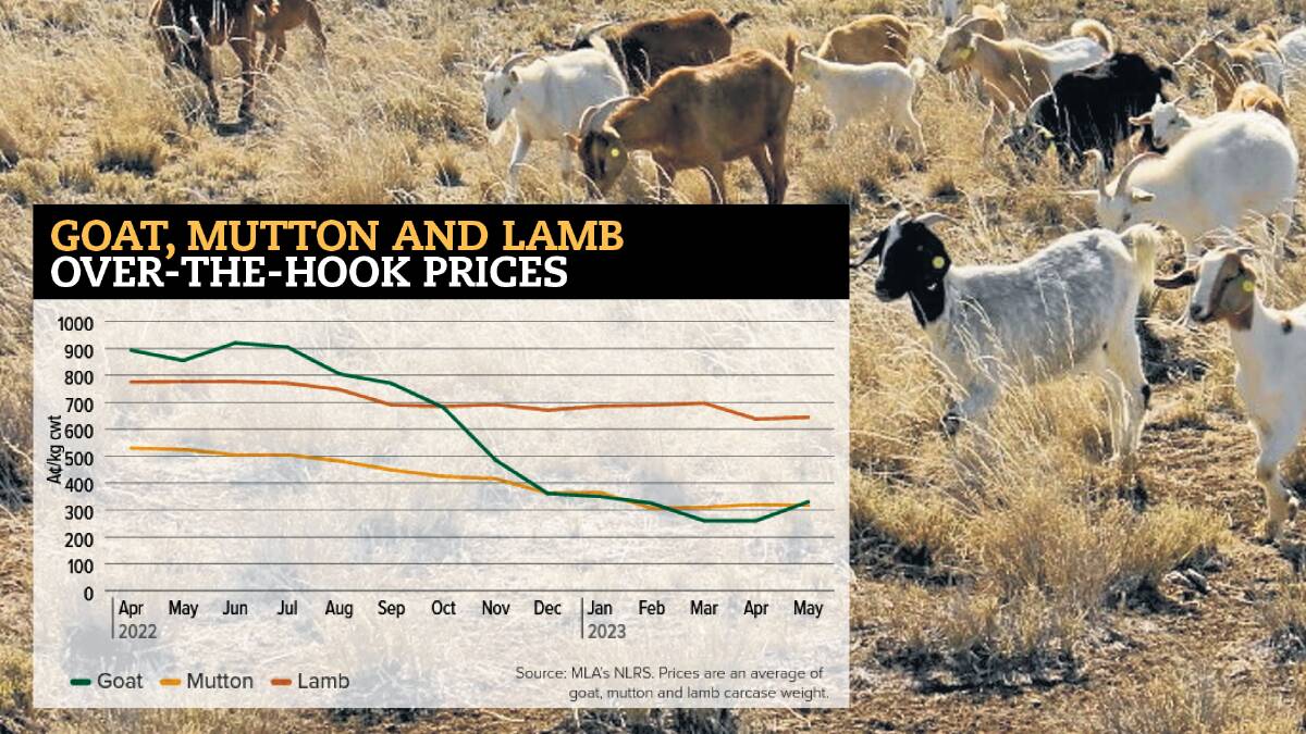 Goat prices remain well down from mid-2022, as production continues its growth trajectory.