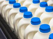 Dairy farmers want relations between supermarkets and processors to be better and fairer. Picture: Shutterstock
