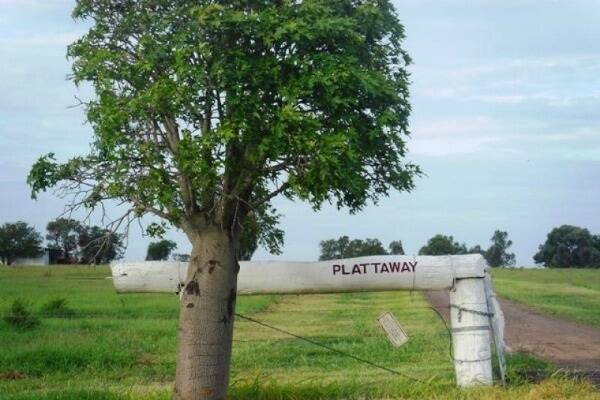 Plattaway is naturally strong versatile cattle and farming country, developed brigalow, belah, black-butt and scrub.