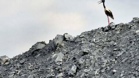 Mining company ERA has been refused renewal of its 10-year lease for digging up uranium in Jabiluka. Photo: HANDOUT/Gundjeihmi Aboriginal Corporation