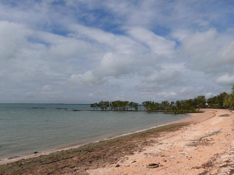 Traditional owners halted commercial barramundi fishing in an NT bay over marine life concerns. (Dean Lewins/AAP PHOTOS)
