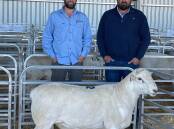 Gamadale's highest priced ram of 2023, Gamadale 220133, sold to Bungarley Australian Whites for $15,000. Picture supplied