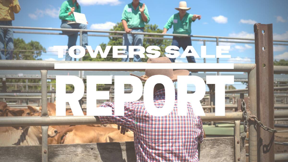 Prices back at Charters Towers sale
