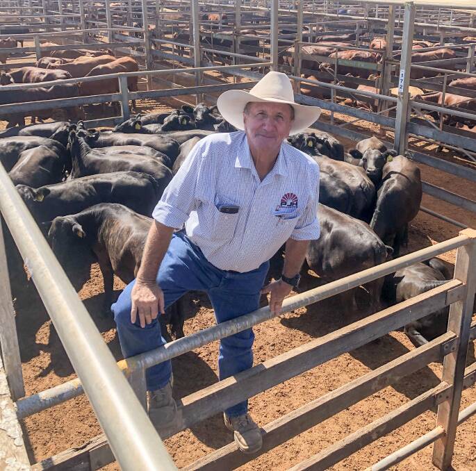 David Friend has been an agriculture marketer of sheep and cattle for 50 years, working in both Queensland and New South Wales. Photo: Supplied