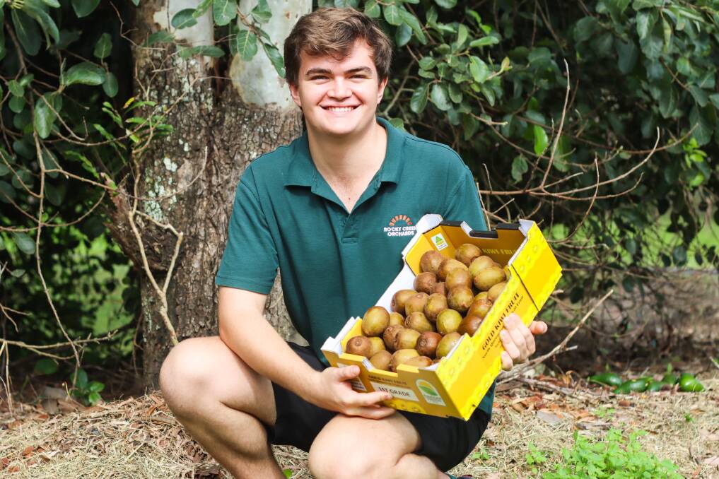 Fourth generation farmer Robbie Masasso with a tray from his family's gold kiwifruit orchard. Picture: Lea Coghlan