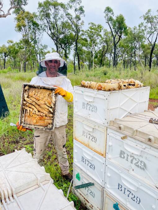 Beekeeper Tom Bidner, FNQ Honey and Bees. Picture: Supplied 