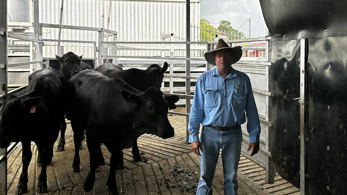 Ken Weldon of Queensland Rural with Brangus steers from CK Livestock that made $870/hd. They were staying local. Picture: Qld Rural 