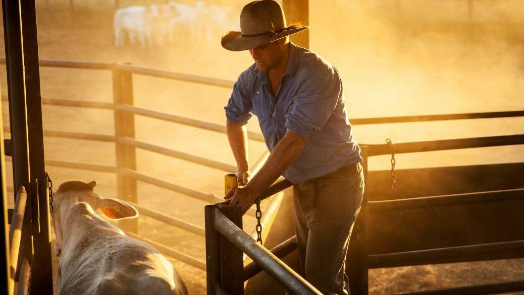 CPC sells its cattle stations, back to itself